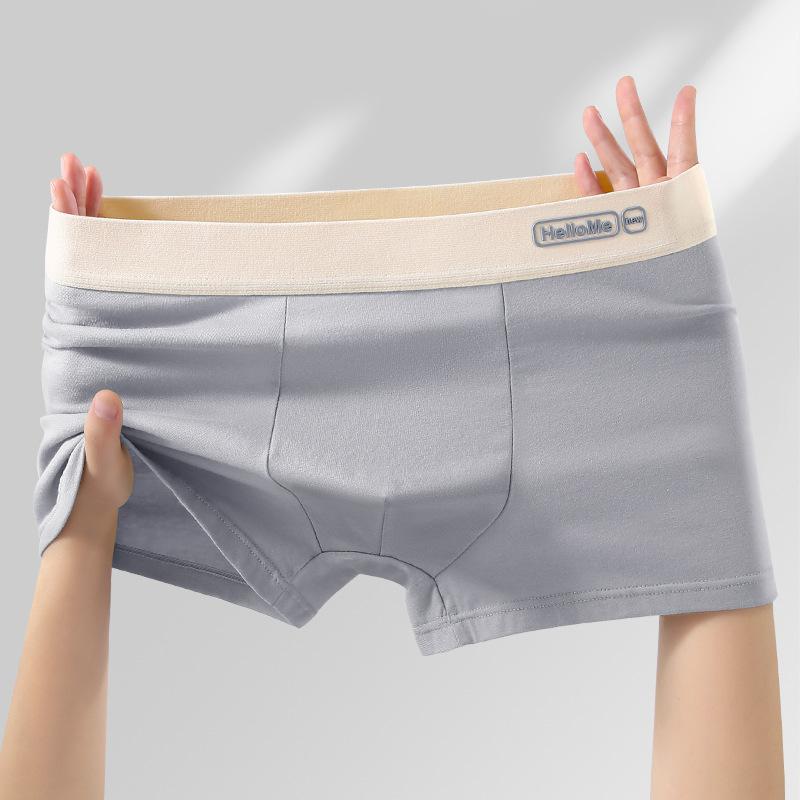 Large Size Men's Spring and Summer Cotton Anti Bacterial Breathable Youth Flat Angle Underwear