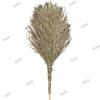 Heavy-Duty Wooden Handle Asphalt Road Broom