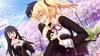 and Stray Cat Heart HD TV anime and Stray Cat Chaos TCG and Stray Cat PR card included PS4 Nora, Princess, [Bundle Bonus] "Nora, Princess, Heart" DVD,