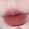 Velvet Matte Lip Glaze Waterproof Long Lasting Non Stick Cup Pigmented Lip Mud