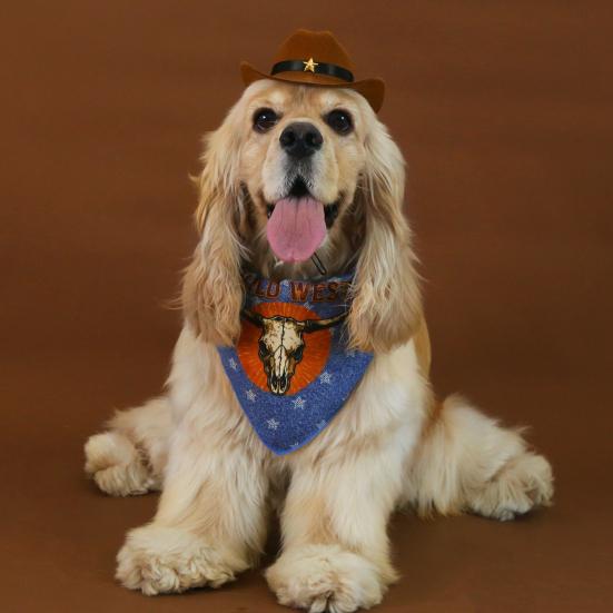 Yousheng Pet Cowboy Costume Dog Cowboy Hat And Bandana Scarf Set Pet Halloween Christmas Party Cosplay Accessories for Cats Small Medium Dogs