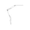 LED Eye Protection Floor & Desk Lamp for Study, Work, Nail Art, Beauty, Piano, and Painting.