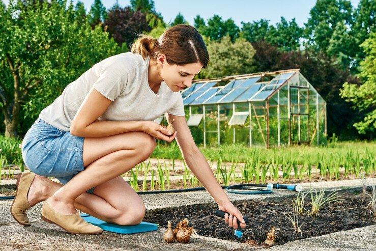 KNEE PAD 40*20 - C 42-211