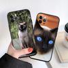 PP22 Cute Siamese Cat Soft Shell Phone Case for Xiaomi Xiaomi Poco M4 M5 M6 M7 X3 X6 X7 F8 Ultra Pro GT NFC