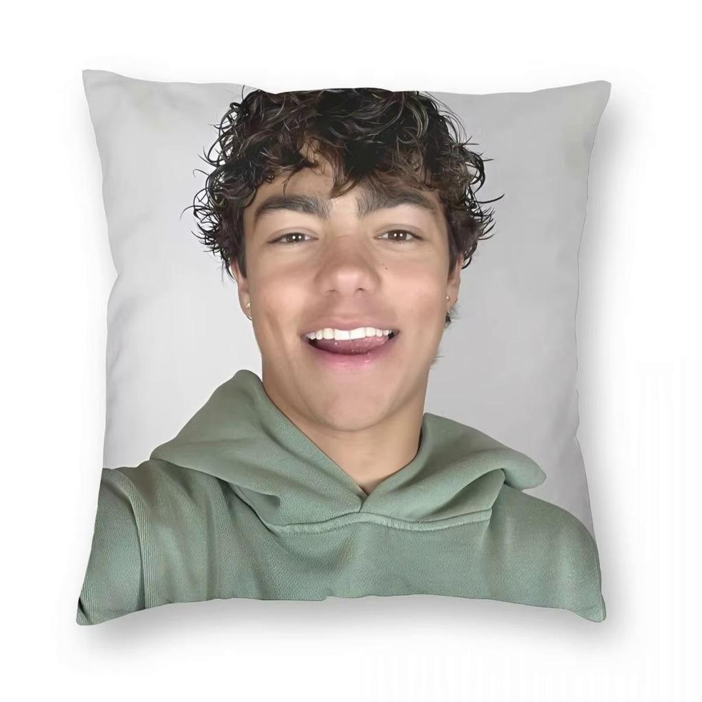 Malachi Barton Pillowcase Printing Fabric Cushion Cover Decor Throw Pillow Case Cover Home Zippered 45*45cm