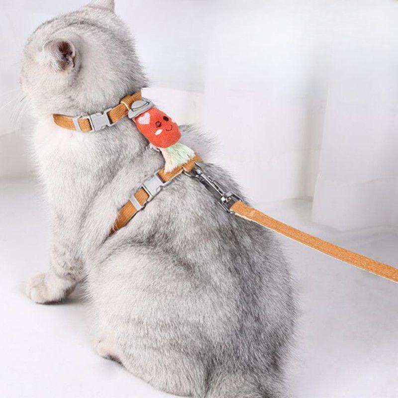 

Поводок для кошек, нагрудные ремни жилетного типа, для выхода на улицу, специальный кошачий поводок с защитой от отрыва, принадлежности для кошачьих цепей