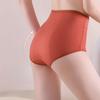 Leak Proof Menstrual Briefs High Waist Physiological Underwear Simple Period Pants  Women