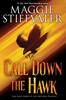 Buch Call Down the Hawk (The Dreamer Trilogy, Book 1) : 1