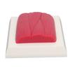 Human Body Muscle Tissue Model Keep Healthy Reminder Real Tactile Anatomic Muscle Tissue Replica Model for Nutritionist Fitness Enthusiasts