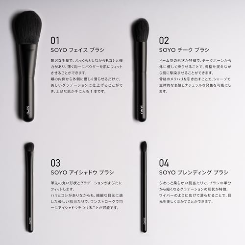 SOYO Standard Daily Set (7 pieces + brush case included)
