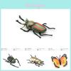 Realistic Pvc Insect Model Set Featuring Butterflies Beetles Spiders Ants And Dragonflies For Collectors And Enthusiasts