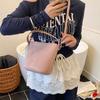 Premium Texture Portable Underarm Bag Women's New Trendy Simple Bucket Bag Niche Shoulder Messenger Bag