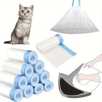 Kedi