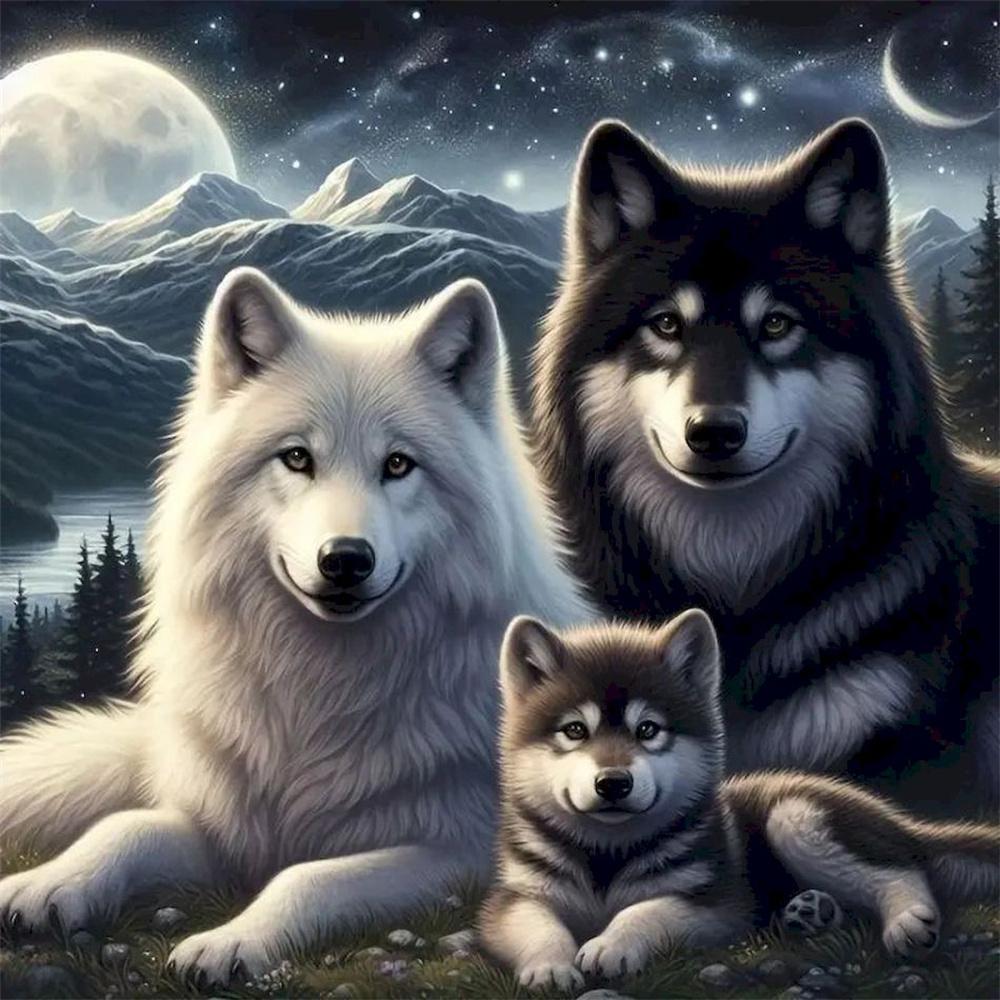 

Алмазная живопись Новое поступление Стразы Животные Кристалл Наборы сверл Полный квадрат Круглая мозаика Алмазное искусство Аксессуары Round 20x20cm