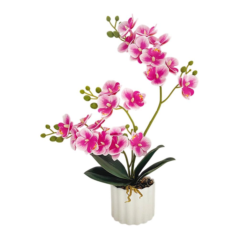

Home Decor Office Decor Artificial Orchid Artificial Orchid Decoration Phalaenopsis Plant Realistic Appearance