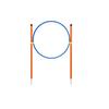 Dog Agility Training Set: Jumping Rings, Poles & Weaving Equipment