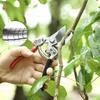 Heavy-Duty SK5 Steel Pruning Shears Tree Branch Cutter for Gardening Flower & Fruit Tree Trimming Professional Floral & Orchard Pruners
