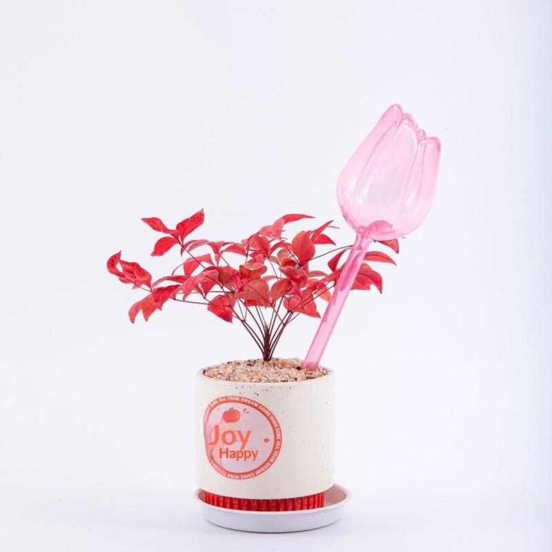 Stylish Plant Watering Solution Tulip Plant Watering Globes Self Watering Bulbs For Indoor Outdoor Plants Automatic Spikes