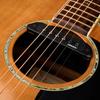 AMUMU SP60 Magnetic Passive Soundhole Pickup Humbucker for Acoustic Guitar -