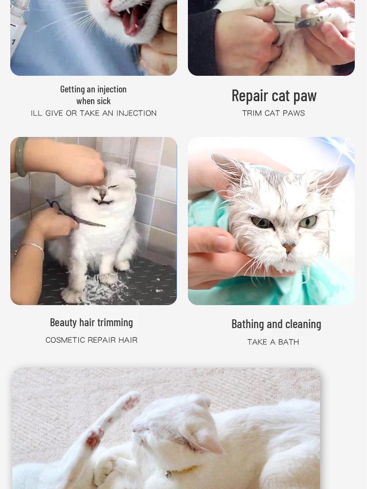 Cat Space Helmet Safety Headgear - Anti-Bite Elizabeth Collar for Pets
