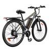 Cheevalry C29-1 All Terrain Electric Bike 750W Motor 48V18.6Ah Battery Outdoor Riding Electric Bicycle 29*2.35 Off-Road Tires E-Mountain Bike