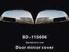 BYD S6 Chromowana Osłona Dekoracyjna Lusterka Wstecznego