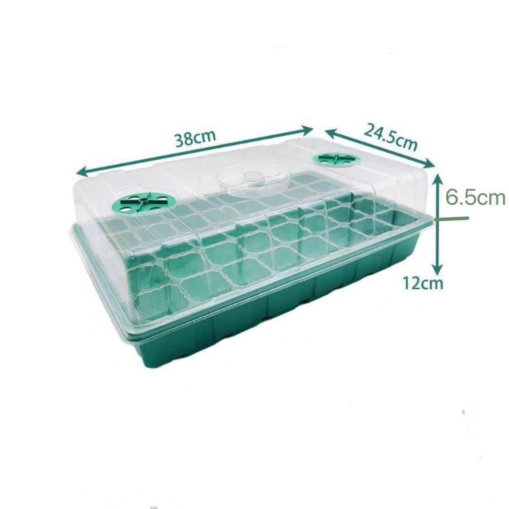 Thickened Seedling Tray with Transparent Lid & Rotating Switch - 6/12 Holes for Heat & Moisture Retention