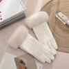 Windproof Touch Screen Gloves Wear-resistant Mittens Vintage Cycling Gloves