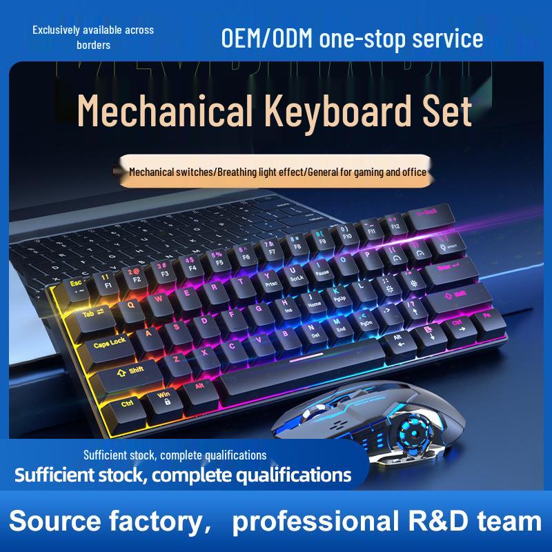 Wired Mechanical Keyboard & Mouse Set with Blue Switch for Gaming & Office Use