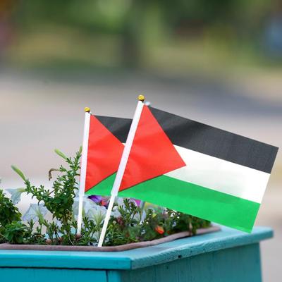 10/20/50/100Pcs Palestine Mini Flags with Pole Hand Held Small Palestine Stick Flags Miniature Hand Waving Flags