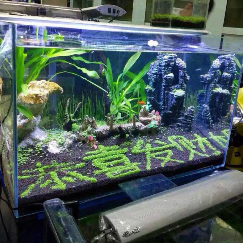 2 Pack Artificial Aquarium Grass Plants - White Realistic Fish Tank Decor, Safe Plastic Embellishment