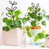 PflanzenstielKlettergestell Pflanzenstützgitter Gartenstützpfahlständer Rebenwachstum Blume Rattan-Klettergestell Gartenbedarf