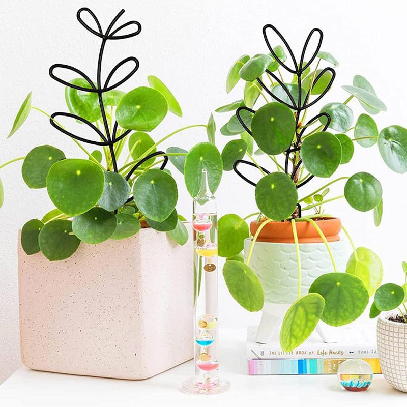 Plant Stem Climbing Rack Plant Trellis Garden Support Stake Stand Vine Growth Flower Rattan-Climbing Rack Diy Garden Supplies