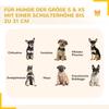 Steel 8 Panel Dog pen Pet Puppy PlayPen Grey