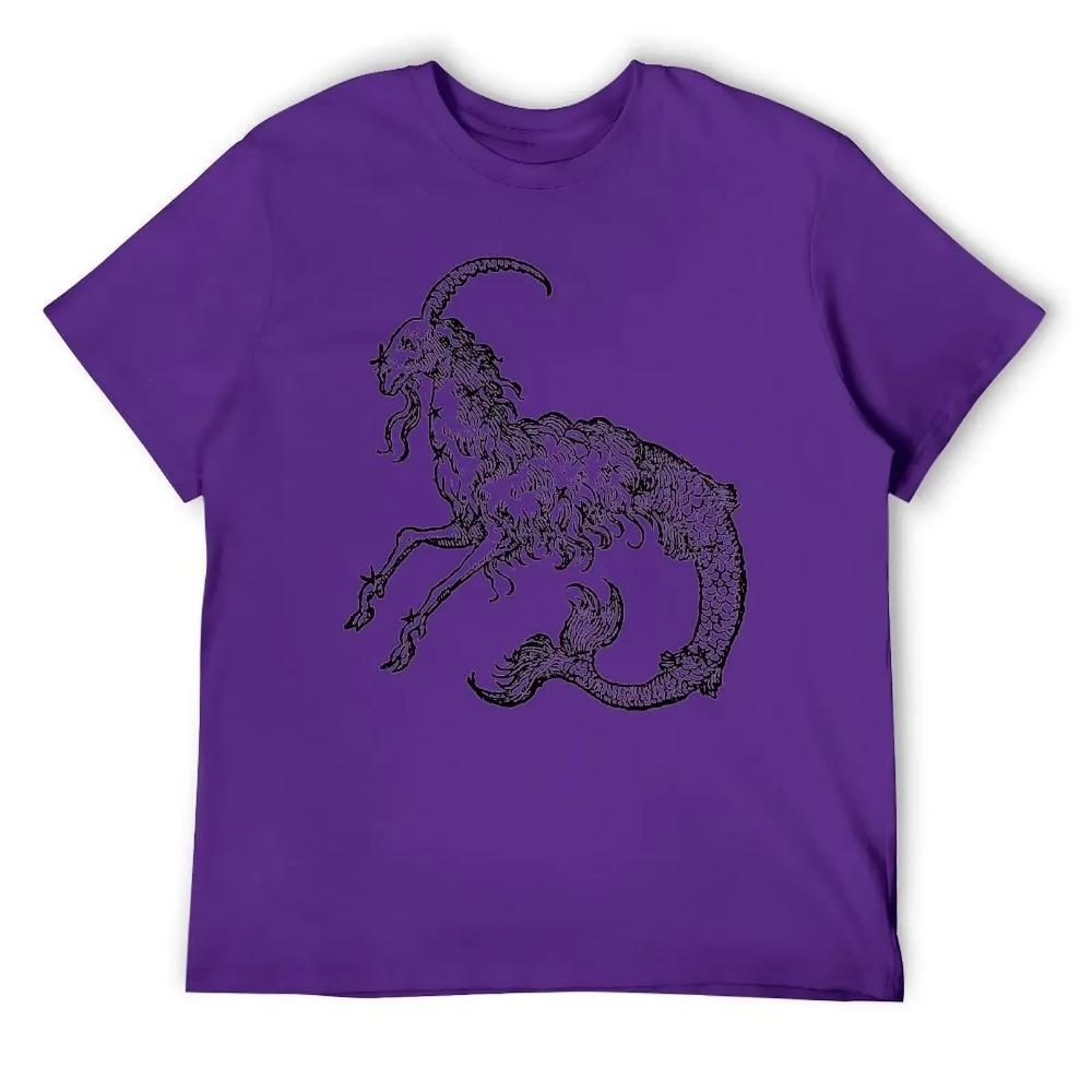 Capricorn Twelve Constellation (4) T-shirt Harajuku Move Tshirt Vintage Home Funny Novelty USA Size