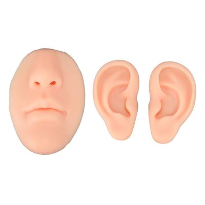 Silikon-Ohrmodell für Anfänger, simuliertes 3D-Nasen- und Mundmodell, Display-Requisite, Lehrmittel für Piercing