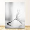 Wall Art Canvas Abstract Painting Picture Nordic Dandelion Flower S and Prints Living Room Scandinavian Black and White