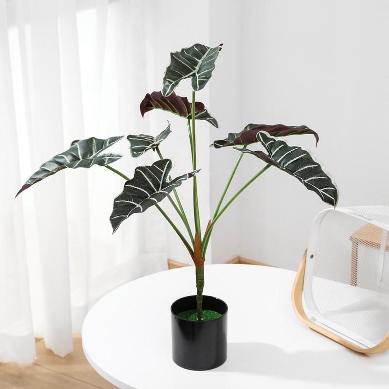 Planta Artificial Estilo Folha de Alocasia Odora com Cesta Artesanal Para Decoração de Casa