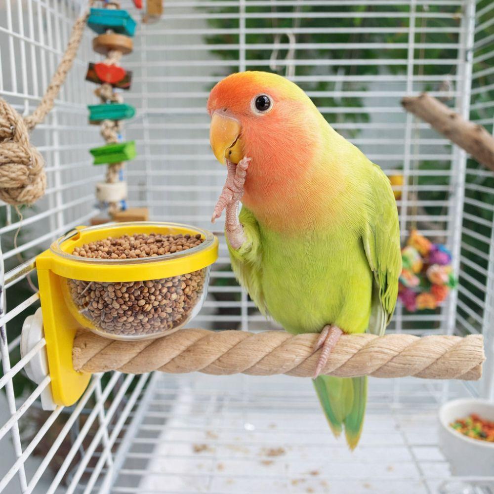 Wear-resistant Bird Cage Feeder Interactive Paw Grinding Bird Feeding Cup Non-slip Parrot Wood Perch Pet Bird Supplies