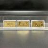 Auspicious Year of the Sheep Gold Bars: Ten-Piece Pack for Wealth and Prosperity