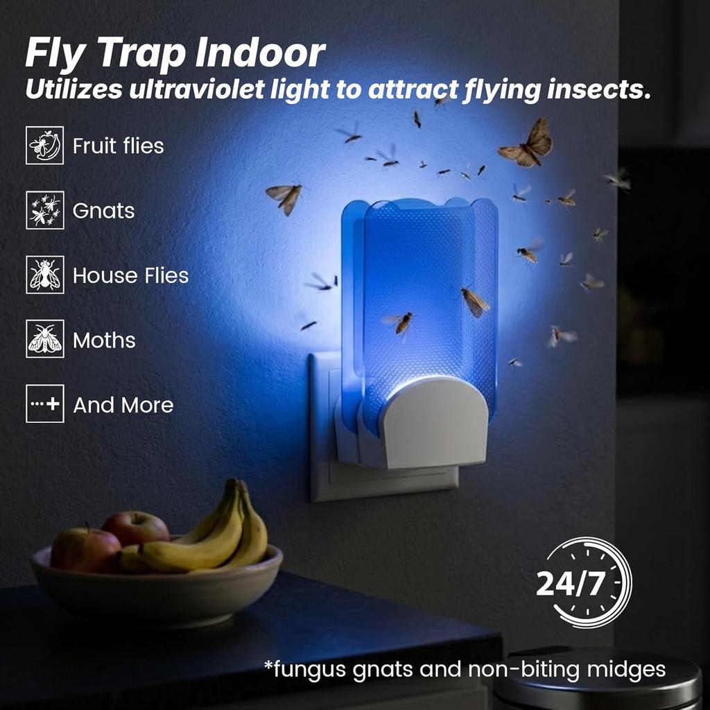 Fliegenfalle Stecker-UV Innen | Fruchtfliegen Mit 3 Klebefüllpads Für Den Innenbereich