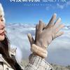 Gants femme hiver chaud équitation version coréenne velours épaissi froid et coupe-vent écran tactile hiver daim velours allemand étudiants