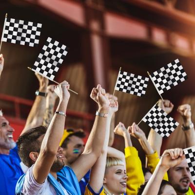 Geblokte vlaggen op stokken 8×5 inch zwart-witte racevlag op houten stok Mini handzame raceautovlag voor feestbenodigdheden