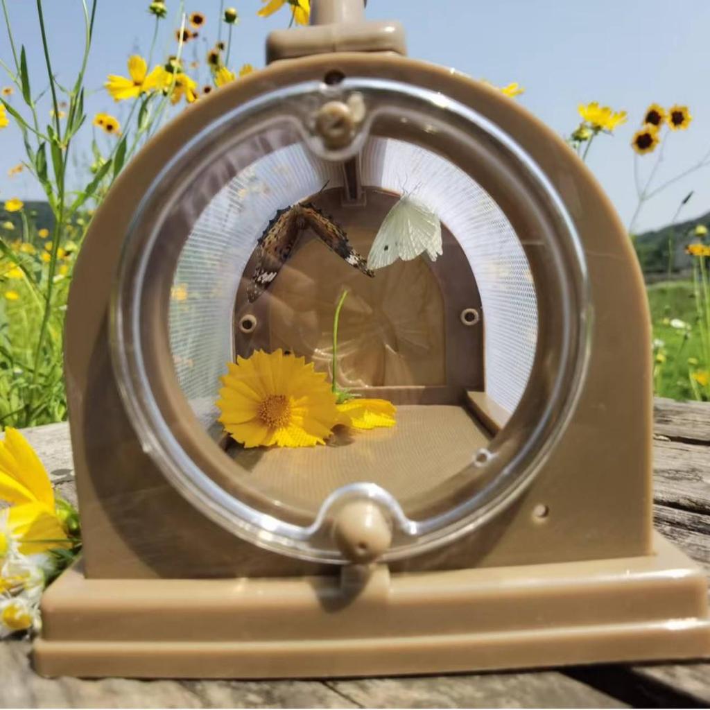 Portable Insect Observation Cage for Butterflies, Silkworms, and Bees