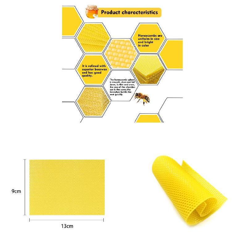 10pcs Comb foundation Honeycomb For Apis mellifera Apiculture Bees wax