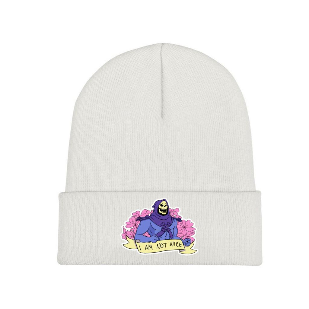 I Am not Nice He-Man and the Masters of the Universe Pălărie din tricot Beanie Pălării de iarnă Căldură din poliester Şapcă casual Unisex Cadou pentru femei