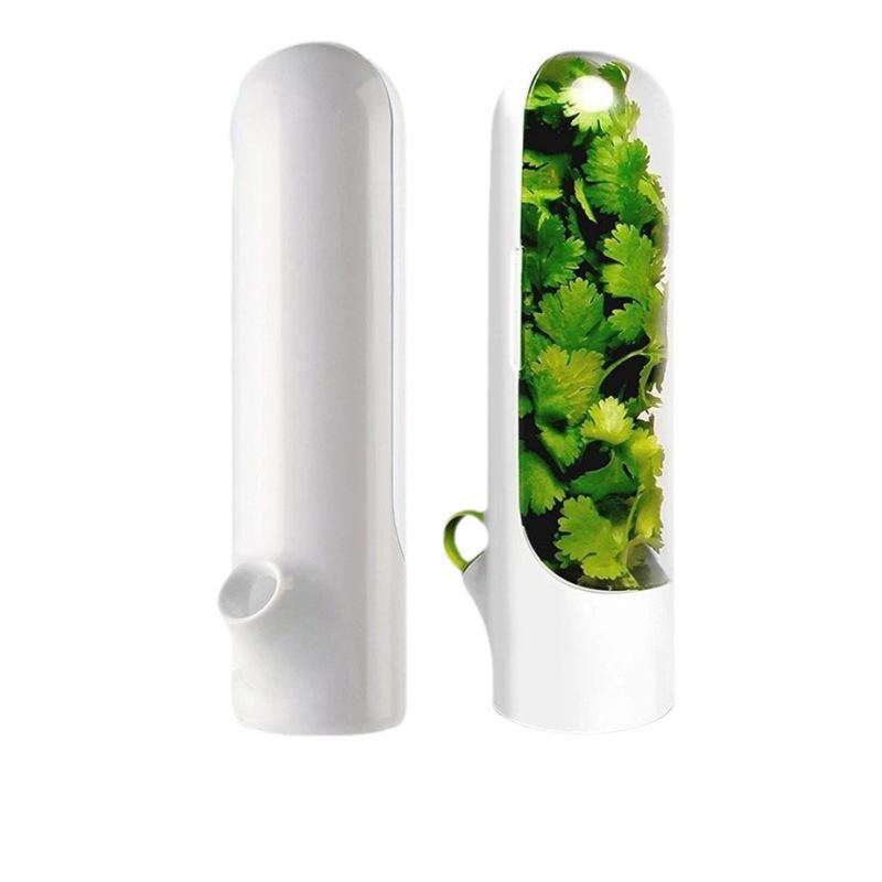 Eco-Friendly Fresh-Keeping Herb and Vegetable Box with Anti-Crush Technology for Coriander