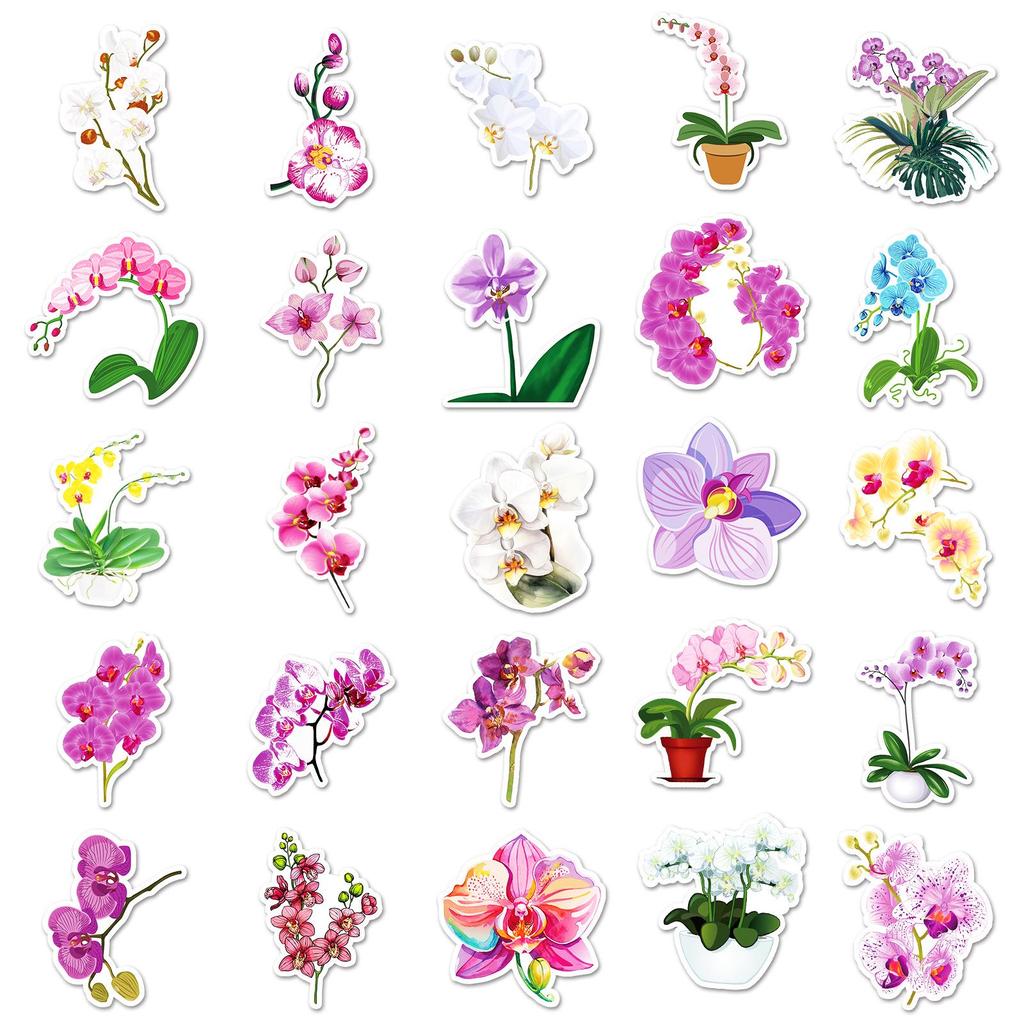 50 Orchid Stickers - Cute Q Version Plant Designs for DIY Crafts, Journals, and Computer Decoration
