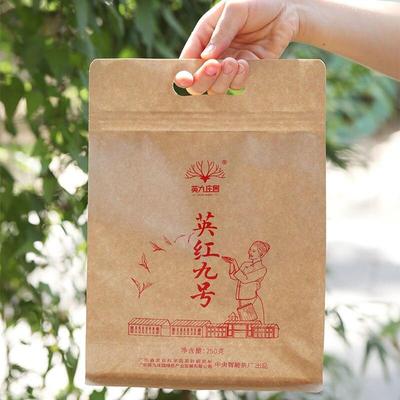 Tè nero 2023 Yingde Yinghong No.9 Yingjiu Manor Tè nero in foglia con Hao Xiang Sacchetto di carta Kraft 250g