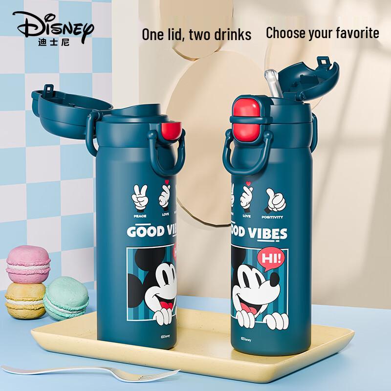 Disney 316 Stainless Steel Dual-Drink Insulated Kids Water Bottle 600ml